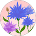 zodiac sign image